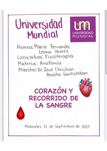 Corazón y Recorrido de la Sangre 