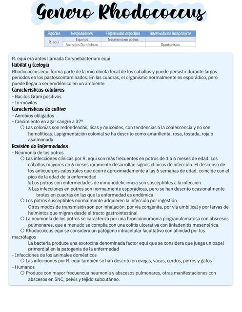 Rhodococcus