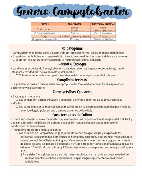 Campylobacter