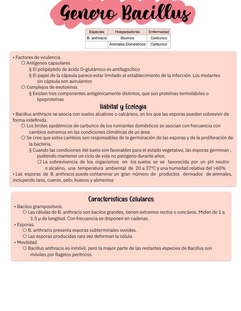 Bacillus