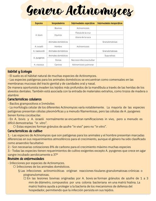 Actinomyces