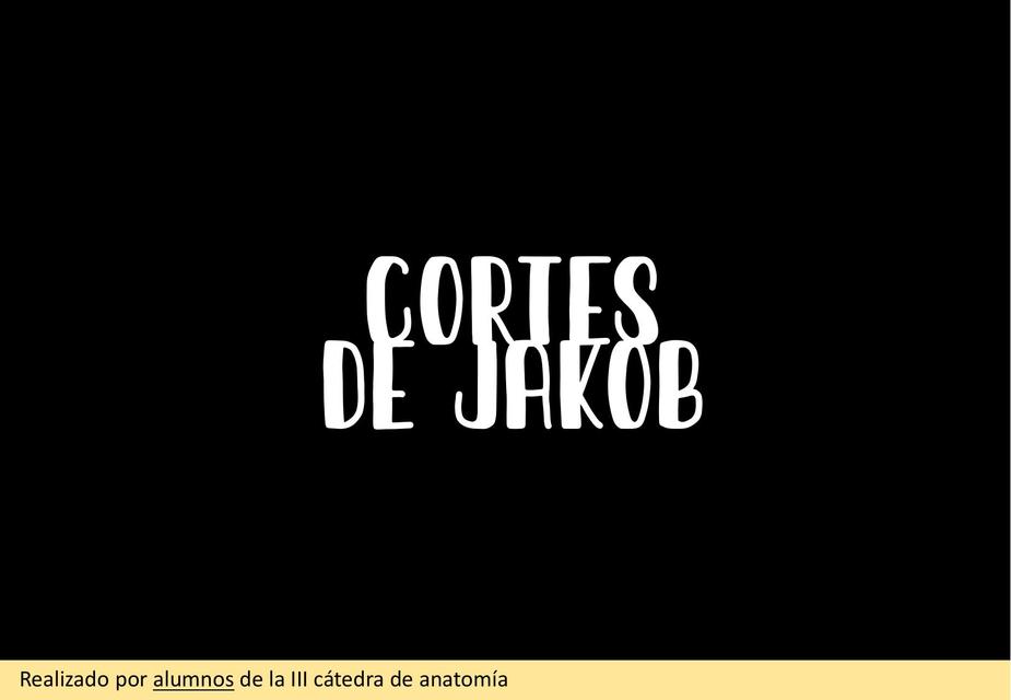 Apunte cortes de Jakob