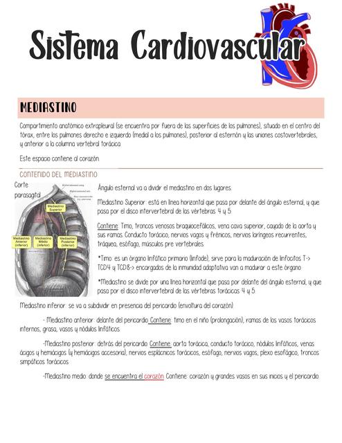 Sistema Cardiovascular