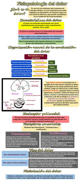 Fisiopatología del Dolor