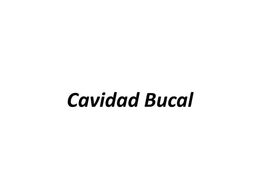 Cavidad Bucal