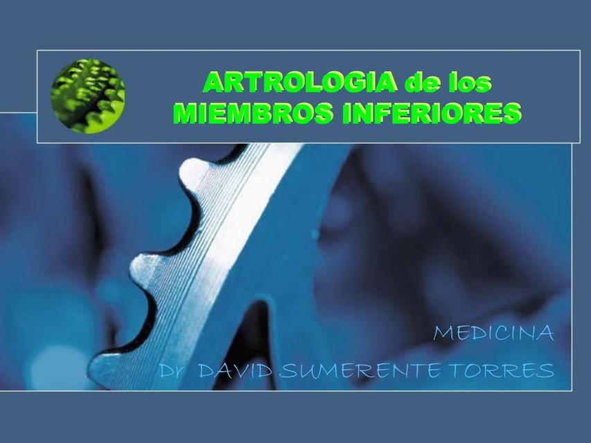 Artrología de los Miembros Inferiores 