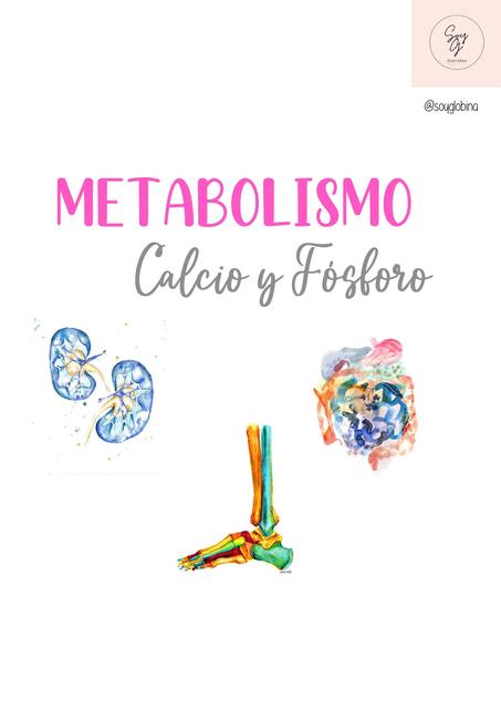 Metabolismo Calcio Y Fósforo Soy Globina