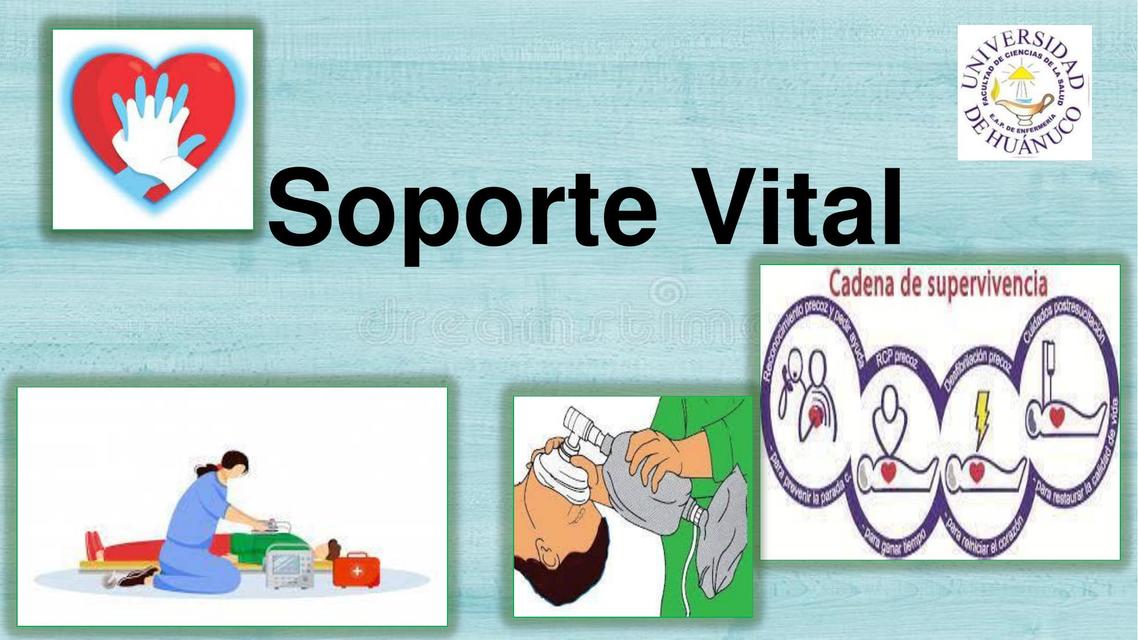 Soporte Vital