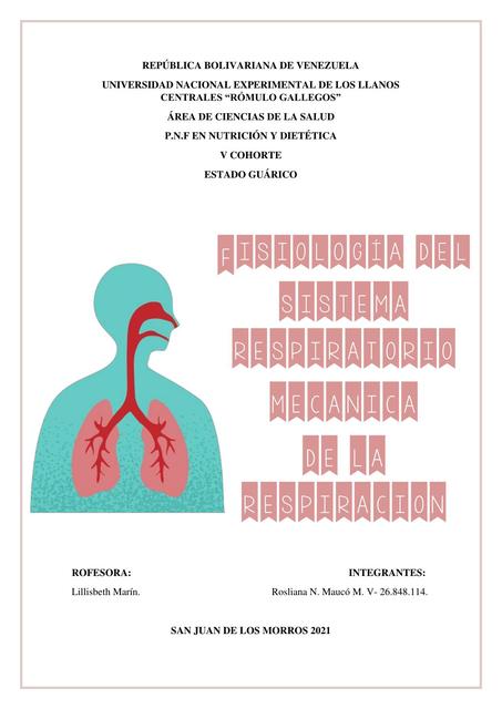 Sistema Respiratorio 