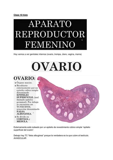 Aparato Reproductor Femenino 