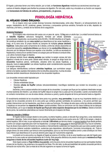 Fisiología Hepática y Páncreas