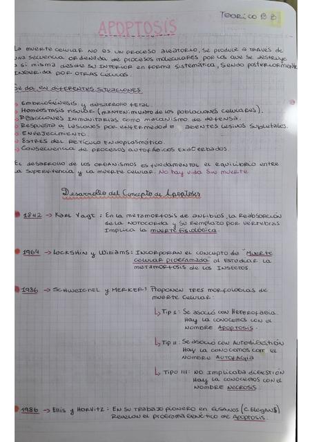 Resumen apoptosis 