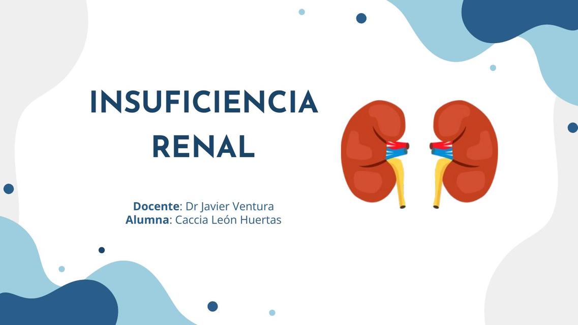 Insuficiencia Renal 