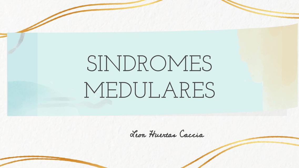 Síndromes Medulares 