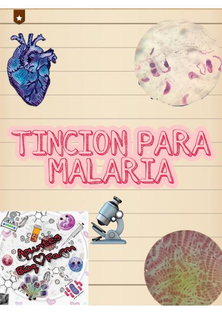 Tinción de malaria 