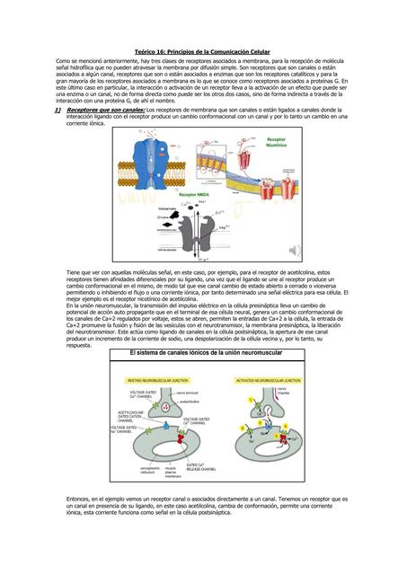 Resumen de biología