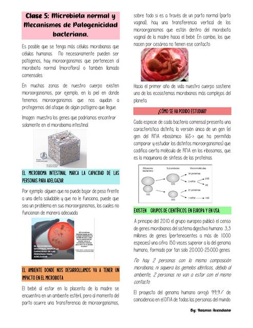 Clase 5 Microbiología