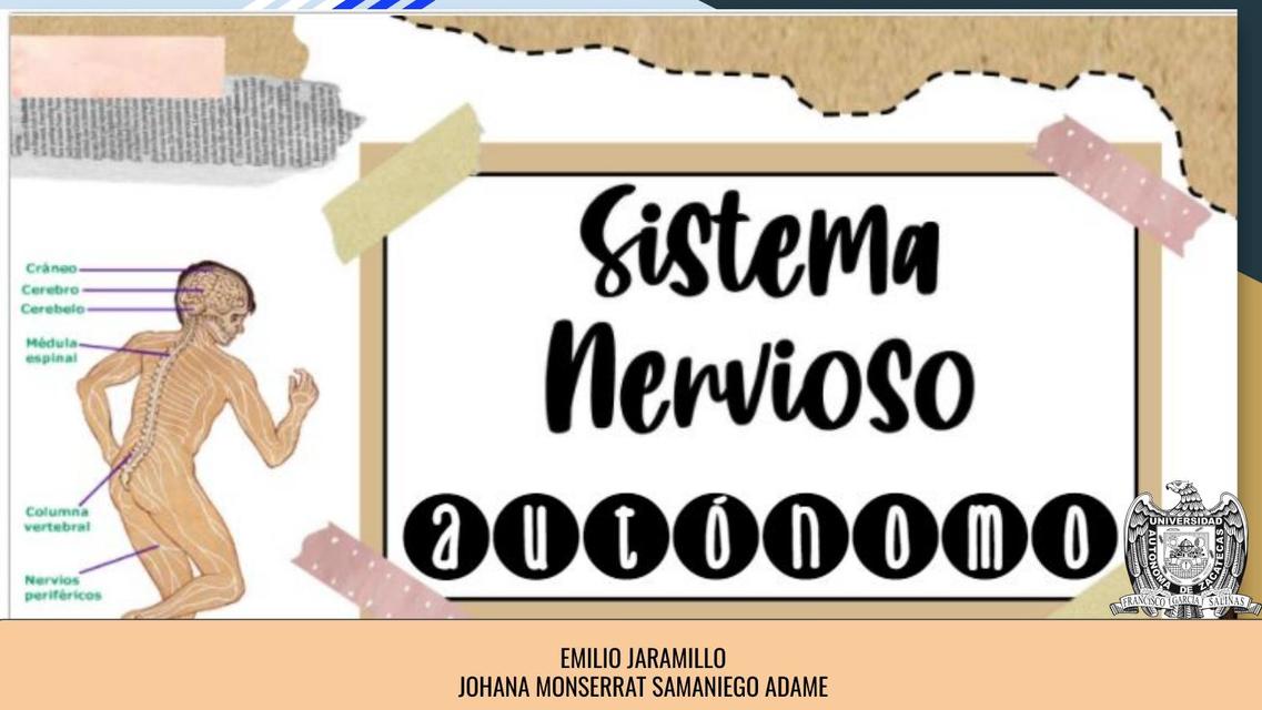 Sistema Nervioso Autónomo