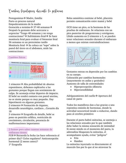 Cambios Fisiológicos durante la Gestación