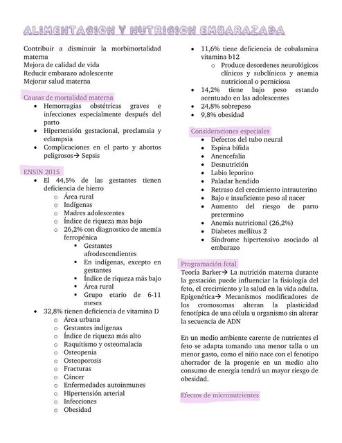 Alimentación y Nutrición Embarazada