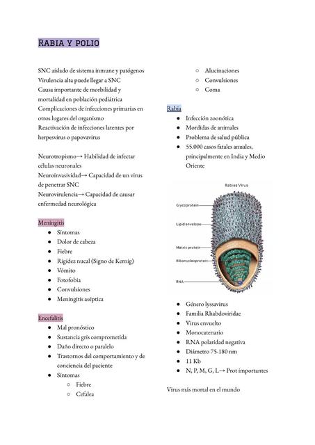Rabia y Polio 