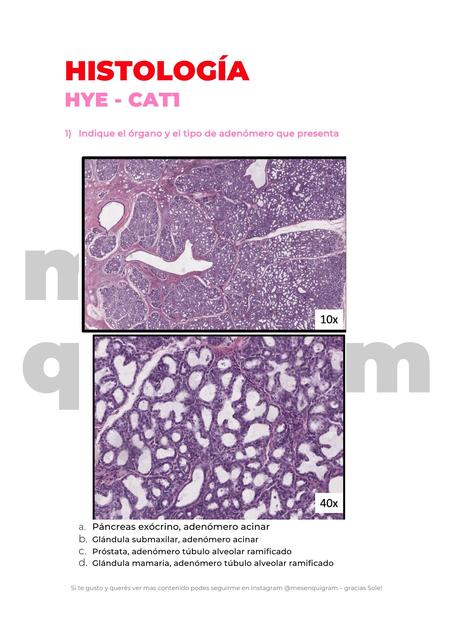 Choice Histología 
