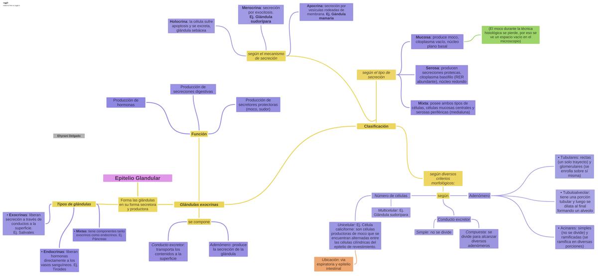 Epitelio Glandular Ehyrani Nazareth Delgado Zabala uDocz