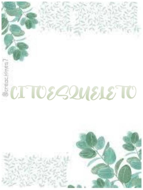 Citoesqueleto 