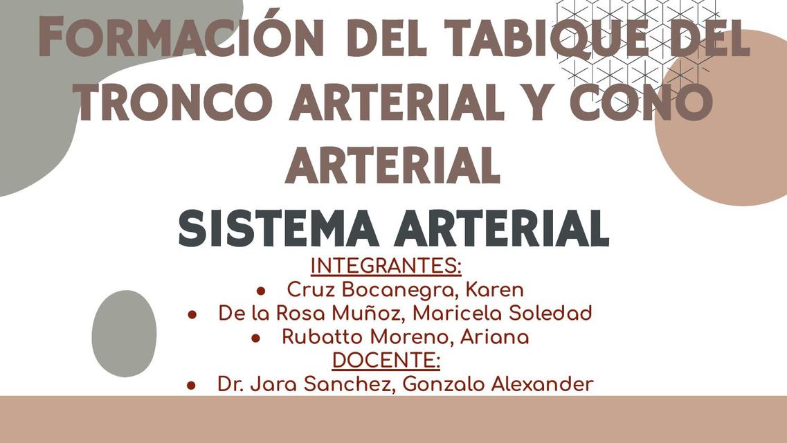 Tronco Arterial y Cono Arterial 