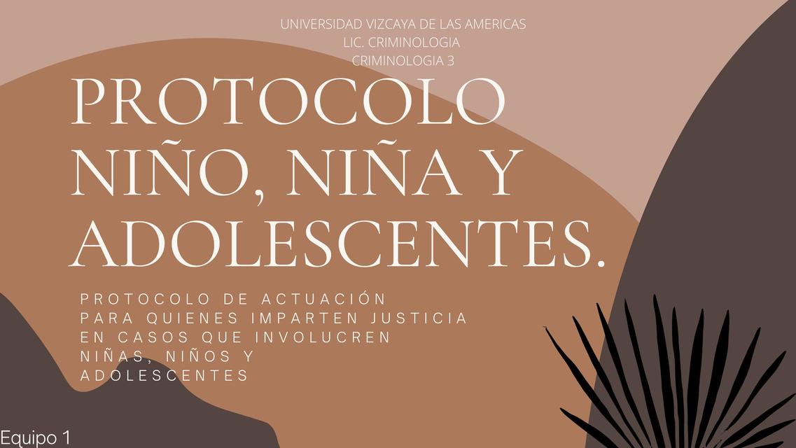 Protocolo Niño Niña y Adolescentes