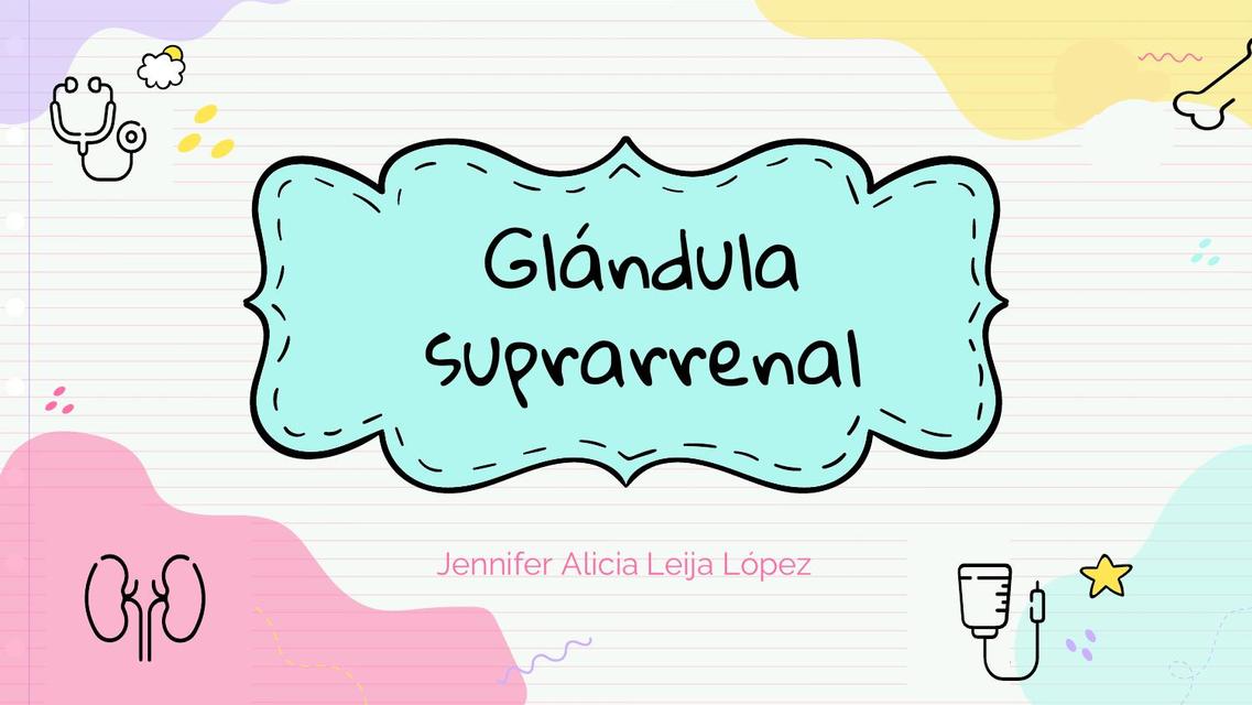 Glándula Suprarrenal