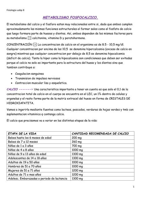 Metabolismo Fosfocalcico 