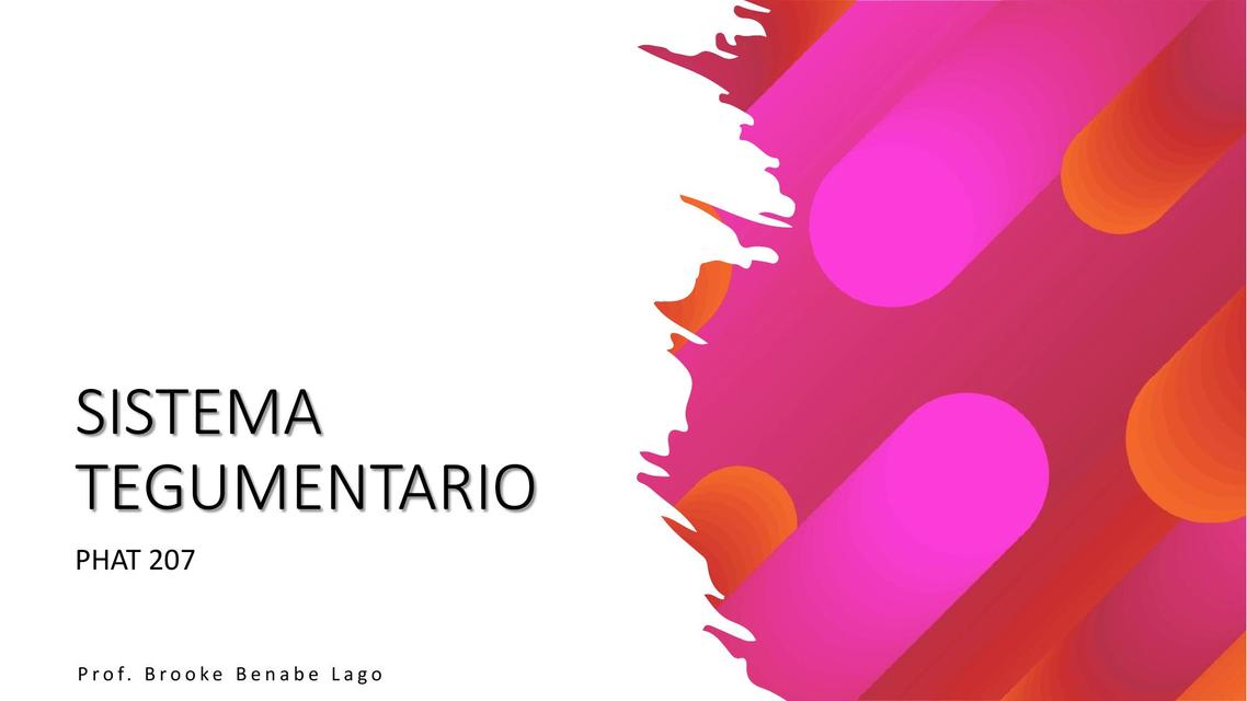 Unidad V Sistema Tegumentario