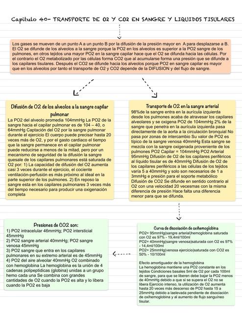 Transporte de O2 Y CO2 en Sangre y Líquidos Tisulares 