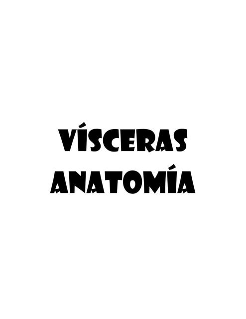 Vísceras Anatomía 