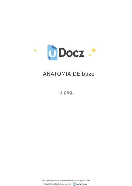 Anatomía de Bazo 