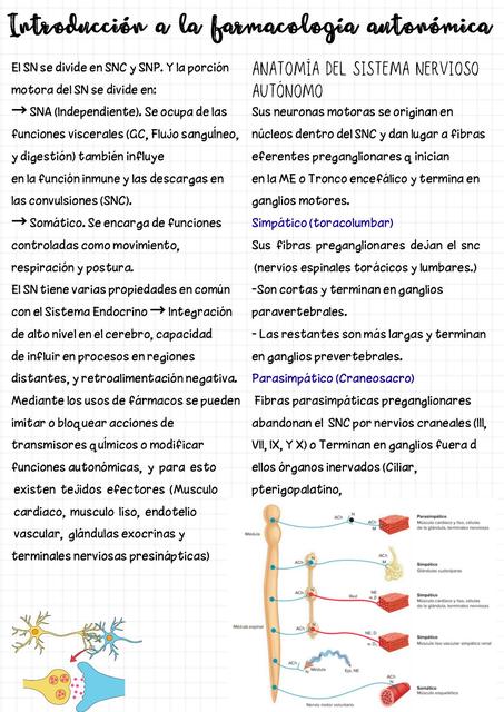 Introducción a la Farmacología Autonómica