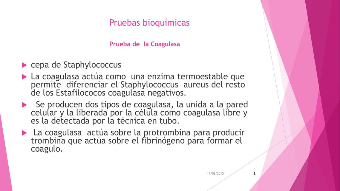 Pruebas Bioquímicas 