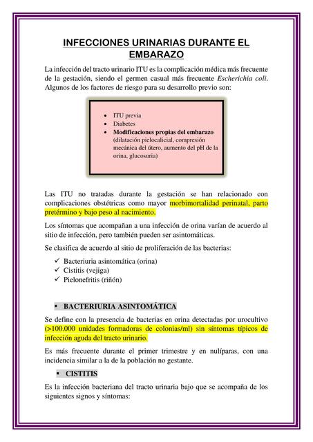 Infecciones Urinarias durante el Embarazo 