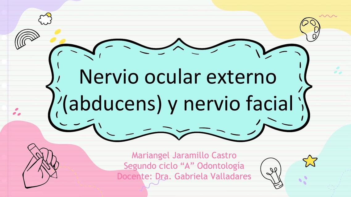 Nervio Ocular Externo 