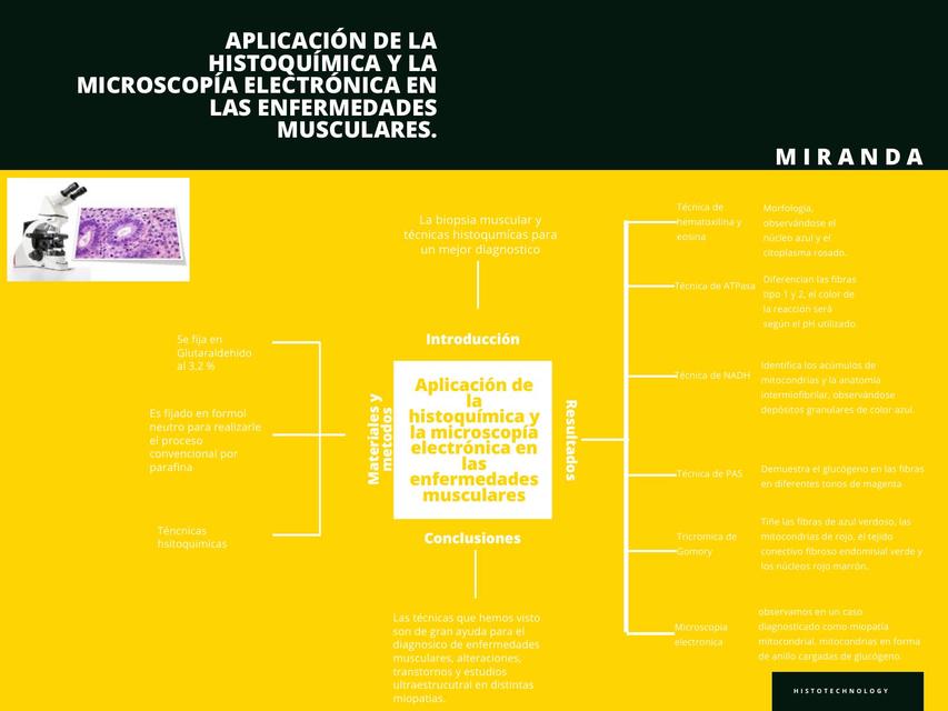 Miranda - Aplicación Histoquímica