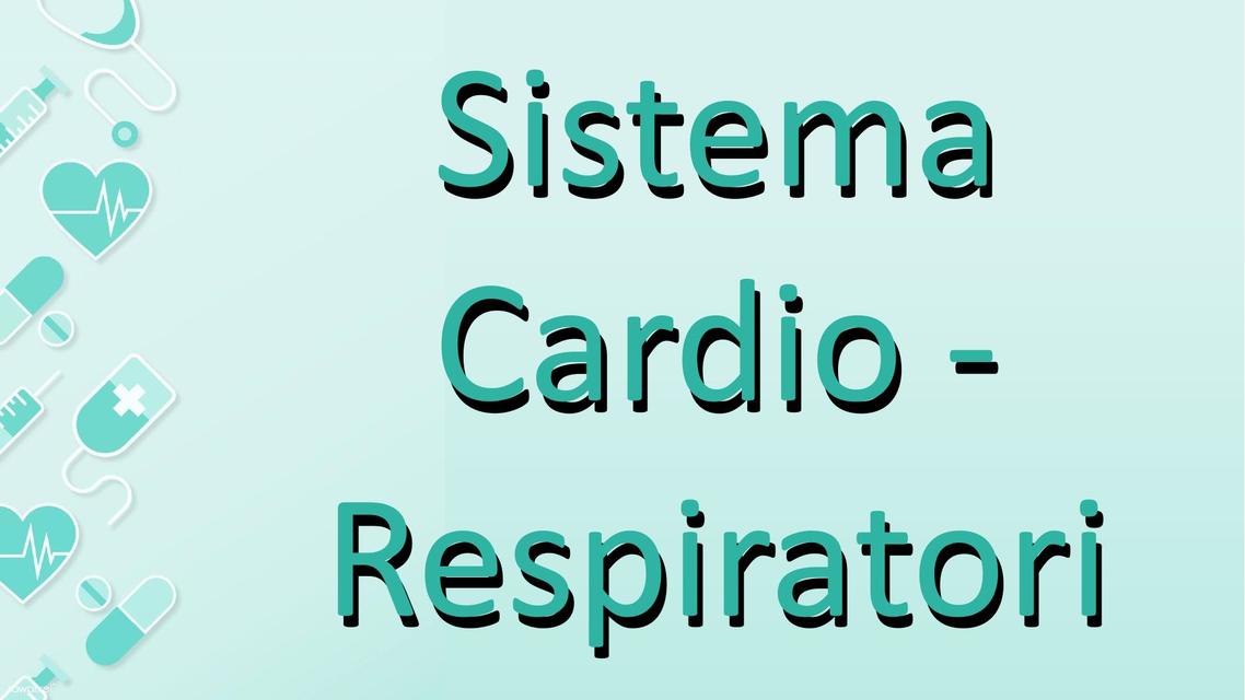 Identificación del Sistema Cardio-Respiratorio