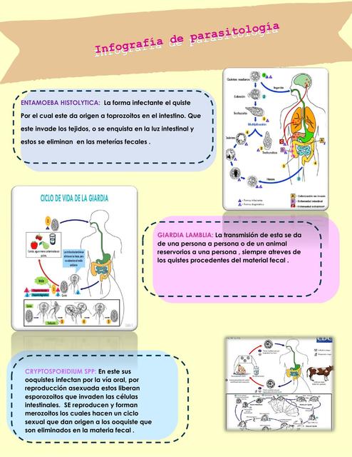 Infografía de Parasitología