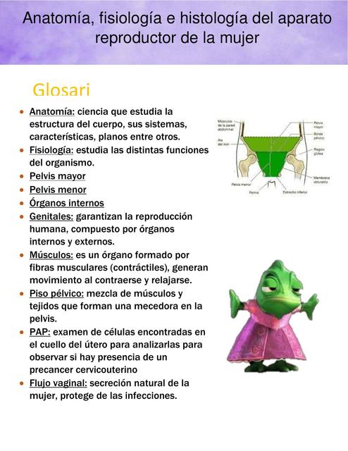 Ginecología I