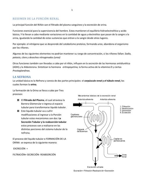 Función Renal