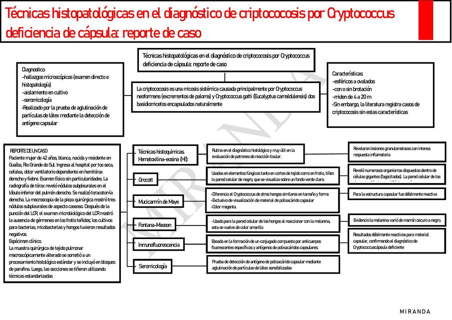 Cryptococcus Neoformans