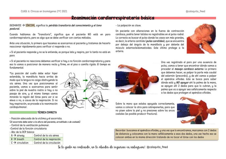 Reanimación Cardiorrespiratoria Básica