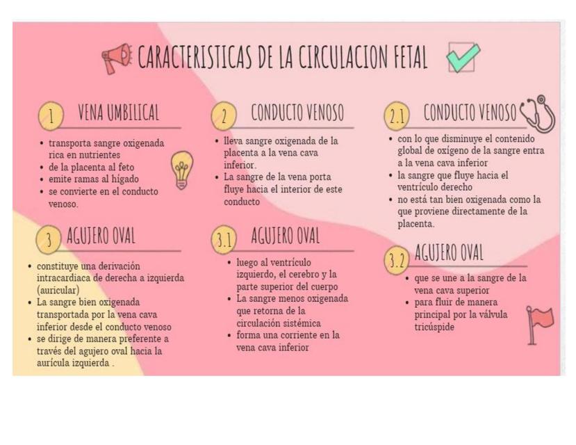 Características de la Circulación Fetal