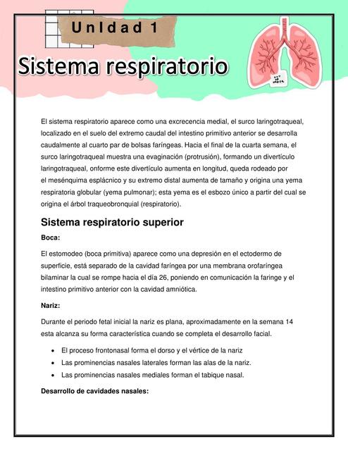 Embriología del Sistema Respiratorio