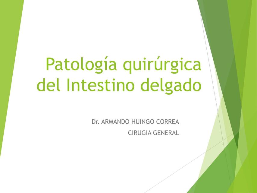 Patologías Quirúrgicas del Intestino Delgado